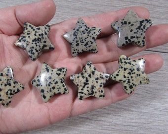 Dalmatian Jasper Star Shaped 27 mm Gemstone F186