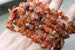 Carnelian Chip Stretchy String Bracelet G116 