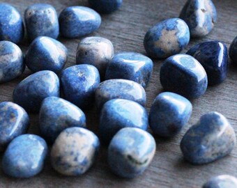 Dumortierite Tumbled Stone 0.75 inch + Crystal