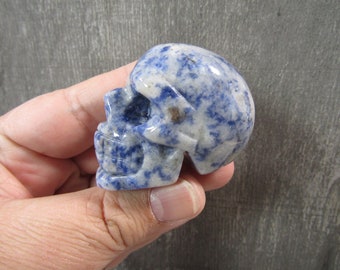 Blue Spot Skull Fig156