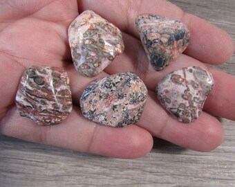 Leopard Skin Jasper Tumbled Stone 1 inch + Crystal