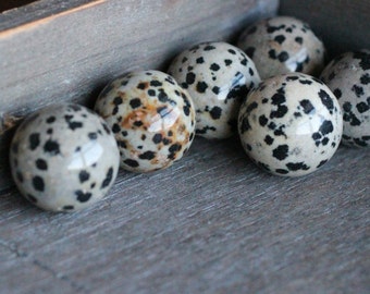 20 mm Dalmatian Jasper Sphere S12