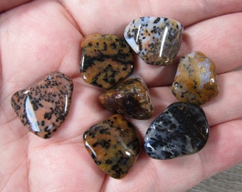 Cheetah Agate Tumbled Stone 0.5 inch + Crystal