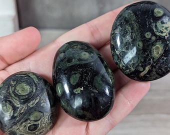 Kambaba Jasper Palm Stone Crystal