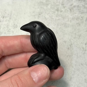 May include: A small, black raven figurine carved from a smooth, dark material. The raven is perched, with detailed wings and a prominent beak. The figurine is held in a hand against a neutral background.