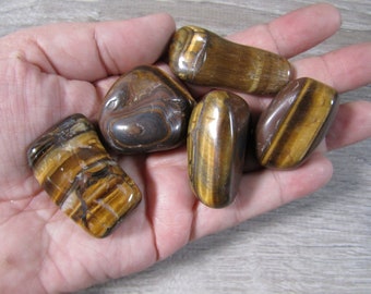 Tiger's Eye Tumbled Stone 1 inch + T301