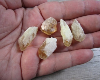 Citrine Raw Crystal Point U159