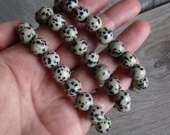 Dalmatian Jasper Bracelet 10 mm Round Stretchy String Jewelry