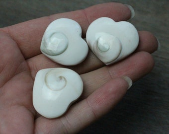 Shiva Eye Shell 30 mm Heart Shaped Stone K128