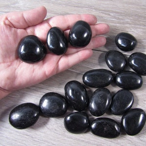Black Tourmaline Palm Stone 1.5 inch + Shaped Stone