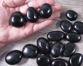 Black Tourmaline Palm Stone 1.5 inch + Shaped Stone