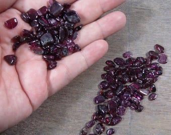 Garnet Chip Tumbled Stone 0.8 oz Bag T225