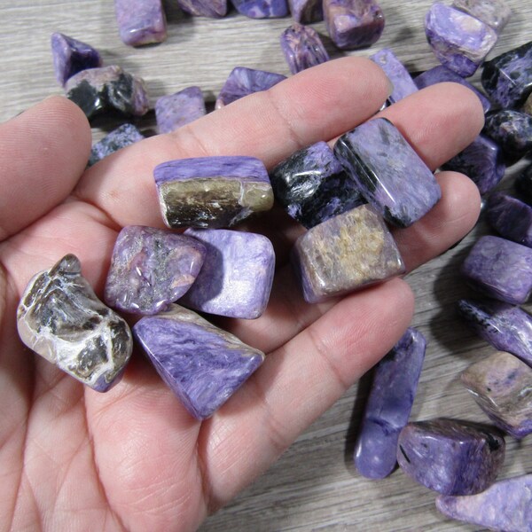 Charoite Tumbled Stone 0.5 inch + Crystal