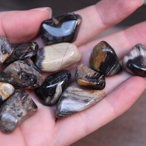 Tumbled Silver Leaf Jasper Etsy
