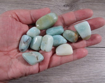 Amazonite Tumbled Stone 0.75 inch + Crystals