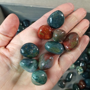 Bloodstone 0.75 inch + Tumbled Stone T193