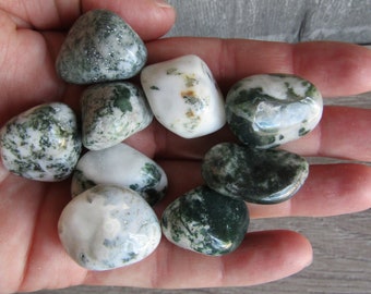 Tree Agate 1 inch + Tumbled Stone T124