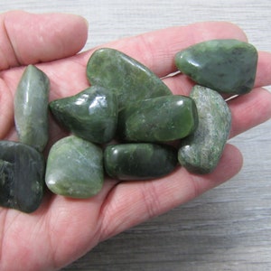 BC Jade 1 inch Gemstone // Tumbled Stones