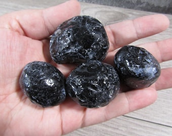Apache Tear Obsidian Raw Extra Large U109