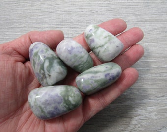 Peace Jade Tumbled Stone 1 inch Large T504