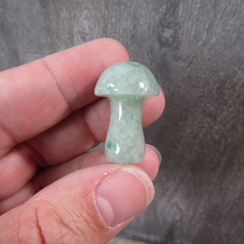 Aventurine Fairy Mushroom Small Shaped Stone image 1