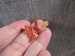 Carnelian Goldfish Figurine F75 