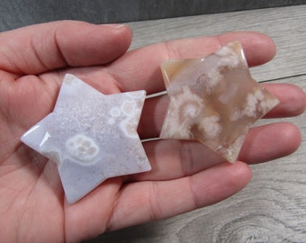 Flower Agate Star Large 1.5 inch  +/- Crystal