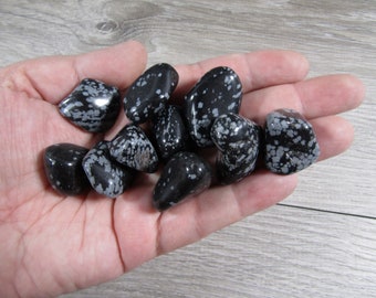 Snowflake Obsidian 3/4 inch + Tumbled Stone T253