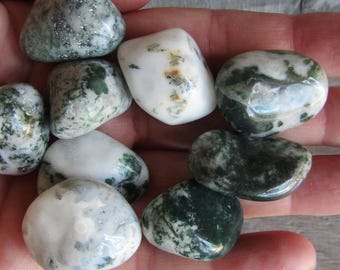Tree Agate 1 inch + Tumbled Stone T124