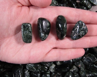 Serpahinite Tumbled Stone 0.75 inch + Crystal