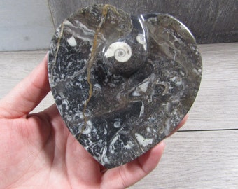 Ammonite Heart Shaped Bowl Fossil