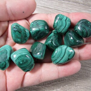 Puede incluir: Una colección de diez piedras de malaquita verde pulidas. Las piedras son lisas y pulidas, con una variedad de tonos y patrones verdes.