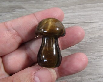 Tiger Eye Fairy Mushroom 1.5 inch +/- Shaped Stone