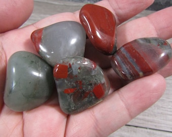 African Bloodstone Tumbled 1 inch + Stone T501