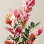 Plant Tools