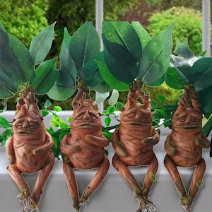 Mandrake Plant Stylized Baby Mandragora Magic Herbology 