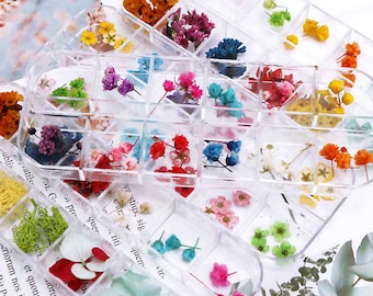 14 Styles Dried Pressed Flowers and Leaves,Dried Flowers For Resin Art,Jewelry DIY,Nail Charm,Nail Supply,Bookmark Gifts Making 290034