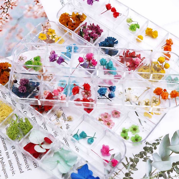 Dried Flowers Resin Etsy