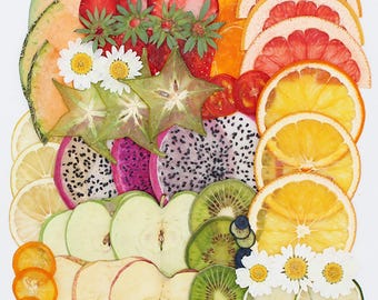 5PCS/Pack Real Dried Pressed Fruit Slices,Natural Dried Pressed Fruit For Resin Filling,Jewelry DIY,Bookmark And Wedding Card Making 290147
