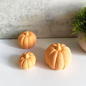 Pumpkin Silicone Mold,Concrete Plaster Halloween Pumpkin Mold,Epoxy Resin Halloween Mold,Wax Candle Making Silicon Mold 231745