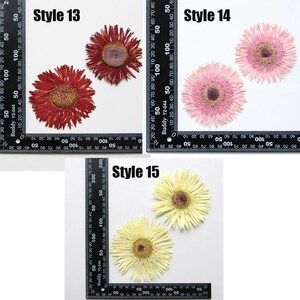May include: Three pressed flowers, each with a different color: red, pink, and yellow. The flowers are arranged in a row, with the red flower on the left, the pink flower in the middle, and the yellow flower on the right. The flowers are all in focus, and the background is a white surface.