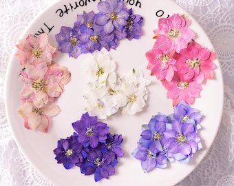 12PCS Dried Flowers,Real Dried Flowers,Color Dried Flowers For Resin Filling,Jewelry DIY Bookmark Making 290134