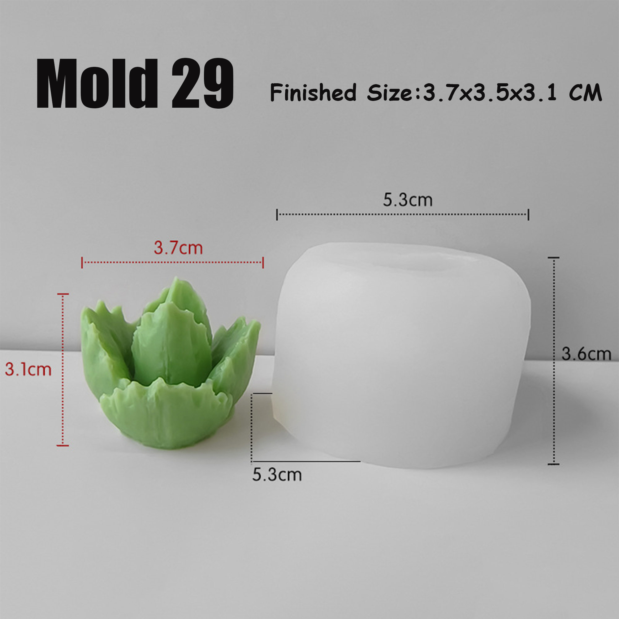 large succulent pot Tangletown Designed Succulent Bowl main image 1