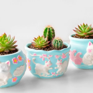 Può includere: Tre vasi di ceramica azzurra con piante grasse e cactus. Ogni vaso presenta un disegno di gatto bianco con accenti floreali rosa. Le piante includono piante grasse verdi e cactus con terreno marrone.