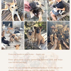 May include: A collage of photos featuring several dogs in various settings. The images show dogs of different breeds and colors, some interacting with people. Text on the image reads: "From our hands to your home - thank you." and "TALANA".