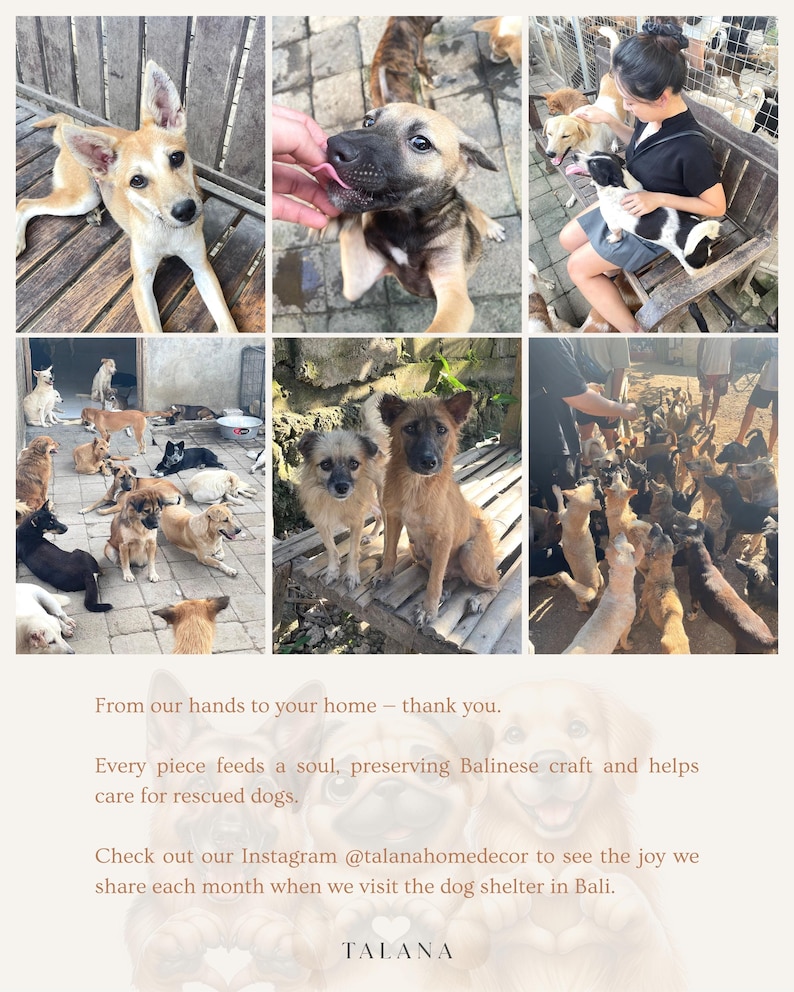 May include: A collage of photos featuring several dogs in various settings. The images show dogs of different breeds and colors, some interacting with people. Text on the image reads: "From our hands to your home - thank you." and "TALANA".