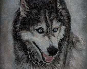 Retrato personalizado de mascota, dibujo a mano de perro o gato a partir de una fotografía.