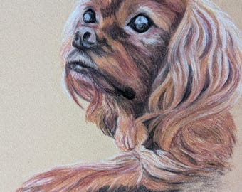 Ritratto personalizzato di animali domestici, disegno a mano libera di cani e gatti da una foto.