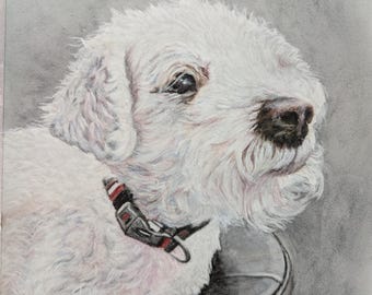 カスタムペット肖像画、写真から手描きする犬猫のアート