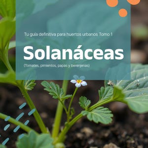 Puede incluir: Portada de libro con el título "Solanáceas" en letras blancas grandes, con el subtítulo "Tu guía definitiva para huertos urbanos Tomo 1". La portada presenta un primer plano de una planta con hojas verdes y una pequeña flor blanca. El nombre del autor, Olinda Zapata, está en la parte inferior.